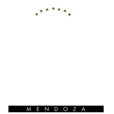 Premium Tower Suites